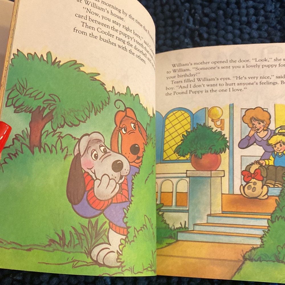 Pound puppies Vintage book - Picture 5 of 7